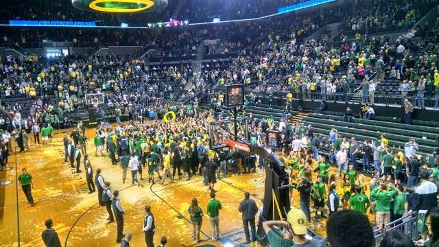 Matthew Knight Arena